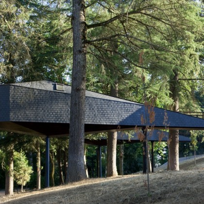 Bono Tree House en Pedras Salgadas SPA Nature Park